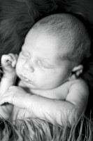Hoffman Newborn