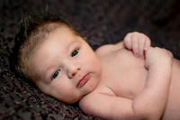 Hall Newborn